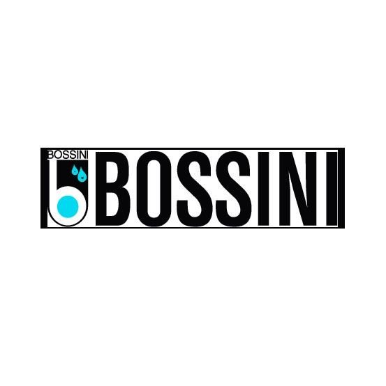 Bossini Liberty Miscelatore termostatico per doccia Z001209